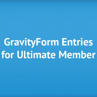Gravity Form Entries for Ultimate Member plugin