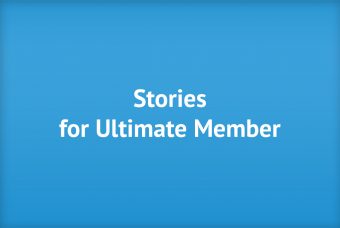 Stories for Ultimate Member plugin