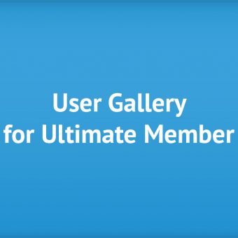 User Gallery for Ultimate Member plugin