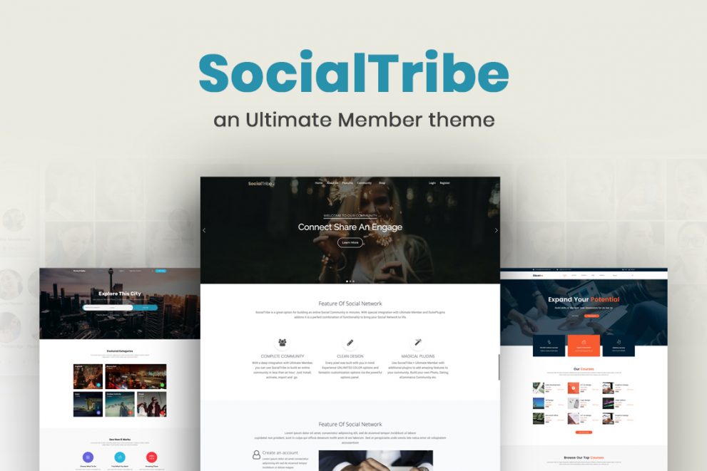 Meet SocialTribe, the Ultimate Member theme.