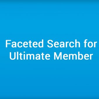 Faceted Search for Ultimate Member Plugin
